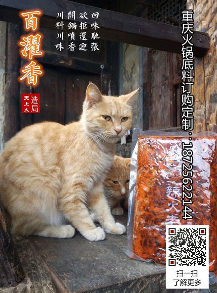 重慶火鍋底料廠-百濯香火鍋底料